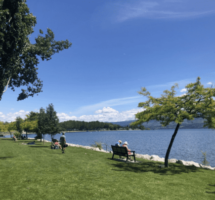 Rotary park at Gellaty bay on the lake with green grass, and park benches.