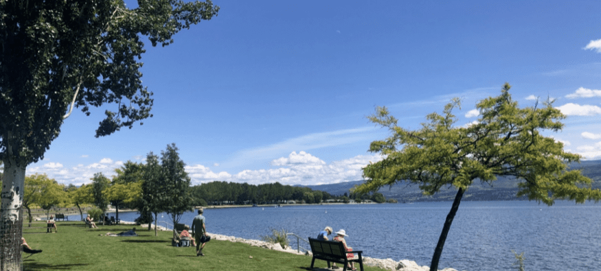 Rotary park at Gellaty bay on the lake with green grass, and park benches.